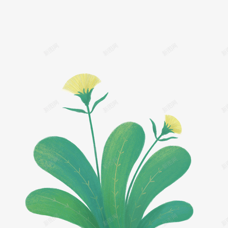植被插画收集png免抠素材_新图网 https://ixintu.com 植被 插画 收集