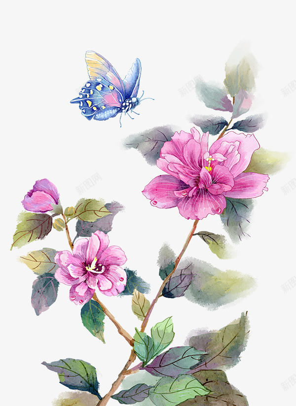 10月木槿花蝴蝶PSD分层png免抠素材_新图网 https://ixintu.com 月木 槿花 蝴蝶 分层