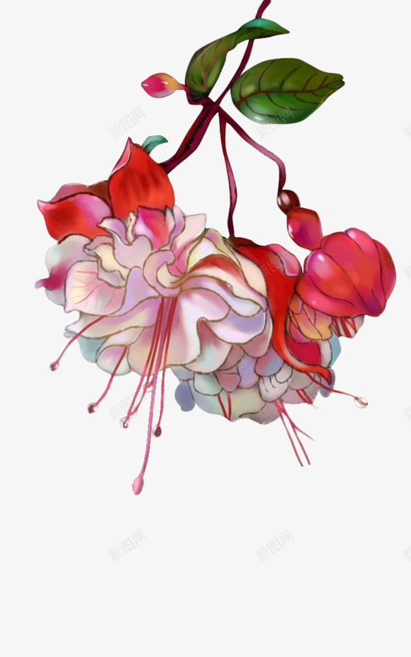 植物素材鲜花装饰4png免抠素材_新图网 https://ixintu.com 植物 素材 鲜花 装饰