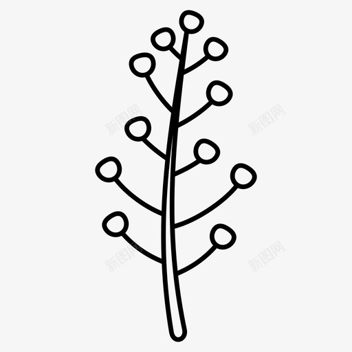 冬天的叶子浆果植物的分支svg_新图网 https://ixintu.com 冬天 叶子 分支 浆果 植物 花枝 涂鸦