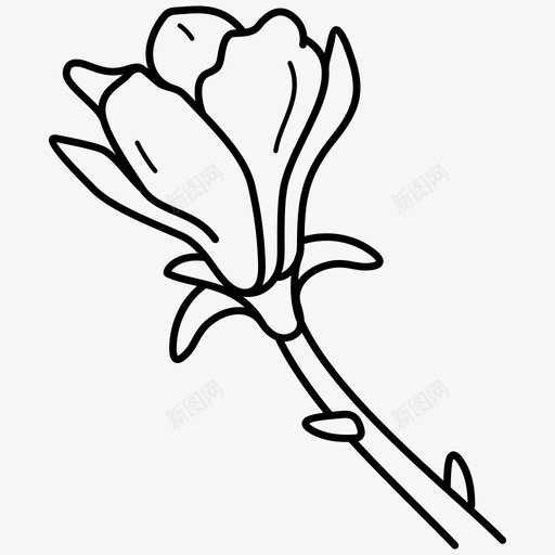 木兰花开花芽svg_新图网 https://ixintu.com 木兰 木兰花 水墨木兰花 花开 花木兰 花芽