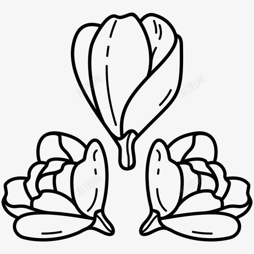 春暖花开花蕾玉兰花svg_新图网 https://ixintu.com 春暖花开 花蕾 玉兰花