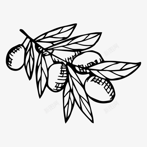 橄榄树枝手绘svg_新图网 https://ixintu.com 橄榄 树枝 橄榄树 手绘 植物