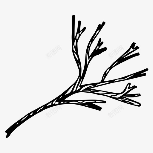 树枝手绘草本植物svg_新图网 https://ixintu.com 植物 树枝 手绘 草本植物 自然