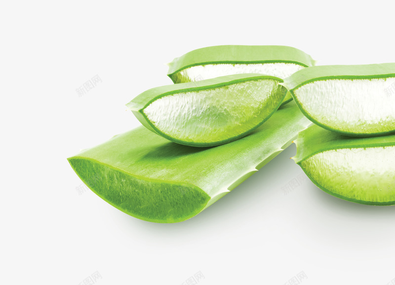 AloeVera芦荟png免抠素材_新图网 https://ixintu.com 芦荟
