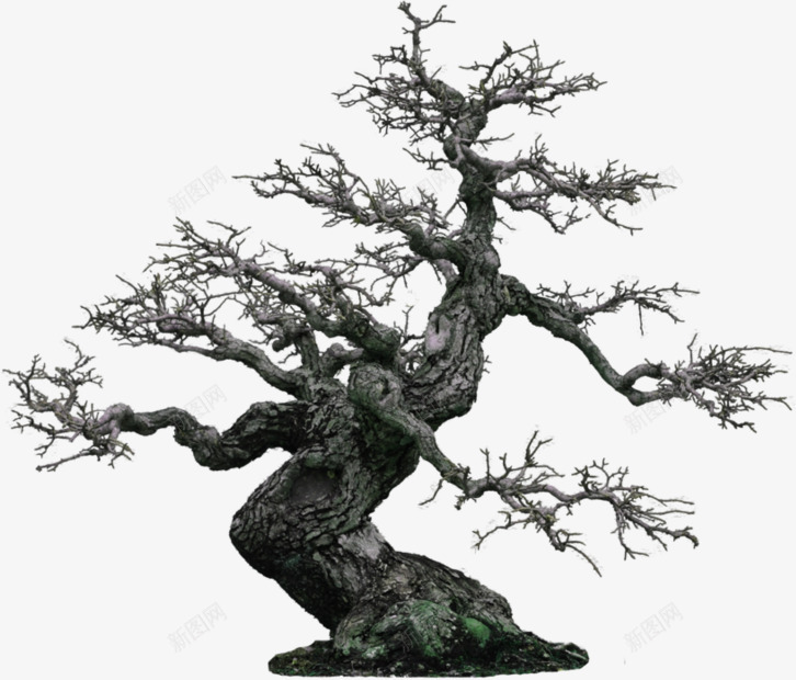 枯树大树万圣节的树大树png免抠素材_新图网 https://ixintu.com 大树 枯树 万圣节