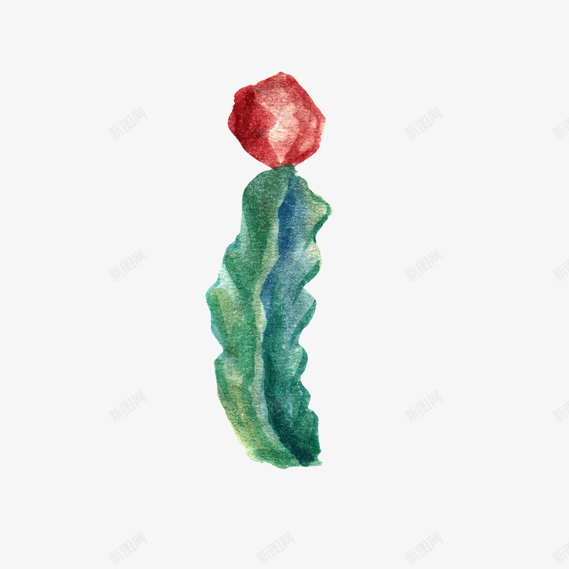 水彩仙人掌插画免扣cactus10png免抠素材_新图网 https://ixintu.com 水彩 仙人掌 插画 免扣