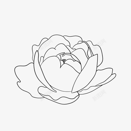 花牡丹植物svg_新图网 https://ixintu.com 花花 牡丹 植物 涂鸦