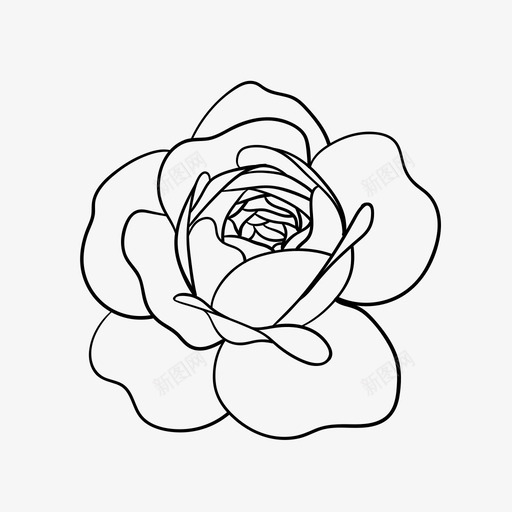 花牡丹植物svg_新图网 https://ixintu.com 花花 牡丹 植物 涂鸦