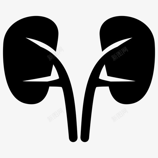 肾脏护理健康svg_新图网 https://ixintu.com 肾脏 护理 健康 健康人 人类 医学 器官