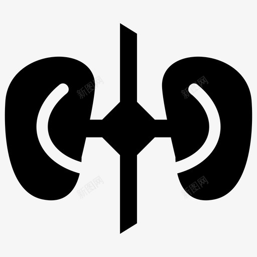 肾脏护理健康svg_新图网 https://ixintu.com 肾脏 护理 健康 健康人 人类 医学 器官