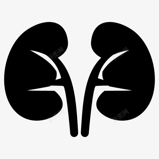 肾脏护理健康svg_新图网 https://ixintu.com 肾脏 护理 健康 健康人 人类 医学 器官