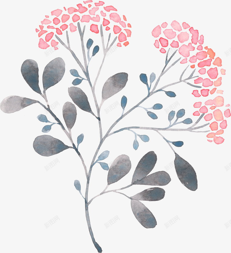 小清新手绘水彩植物叶子花卉贺卡包装手账本子装饰设计png免抠素材_新图网 https://ixintu.com 清新 手绘 水彩 植物 叶子 花卉 贺卡 包装 手账 本子 装饰设计