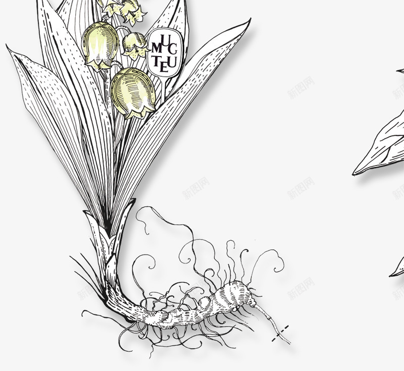 Diptyque花园png免抠素材_新图网 https://ixintu.com 花园
