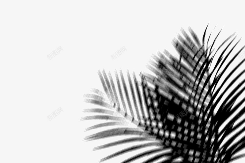植物光影影子png免抠素材_新图网 https://ixintu.com 植物 光影 影子