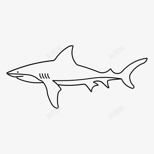 牛鲨海洋捕食者svg_新图网 https://ixintu.com 牛鲨 海洋 捕食 食者 动物