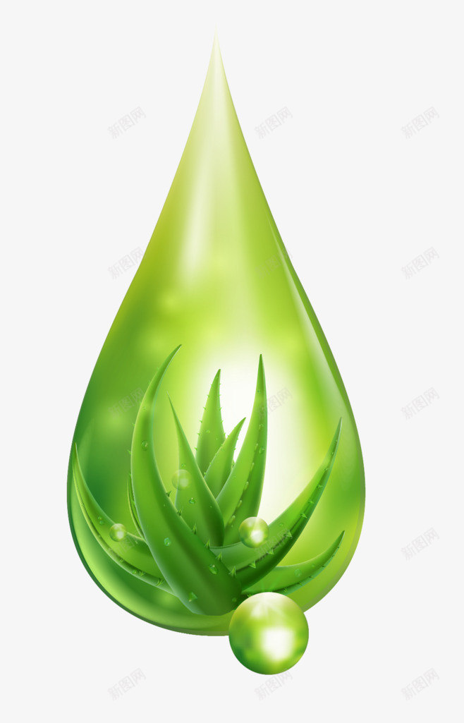 芦荟水滴png免抠素材_新图网 https://ixintu.com 芦荟 水滴