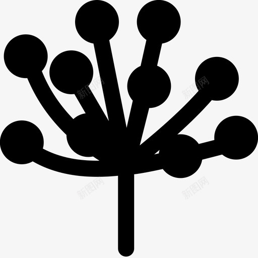 皇后安妮花边花植物svg_新图网 https://ixintu.com 皇后 安妮 花边 花花 植物 固体
