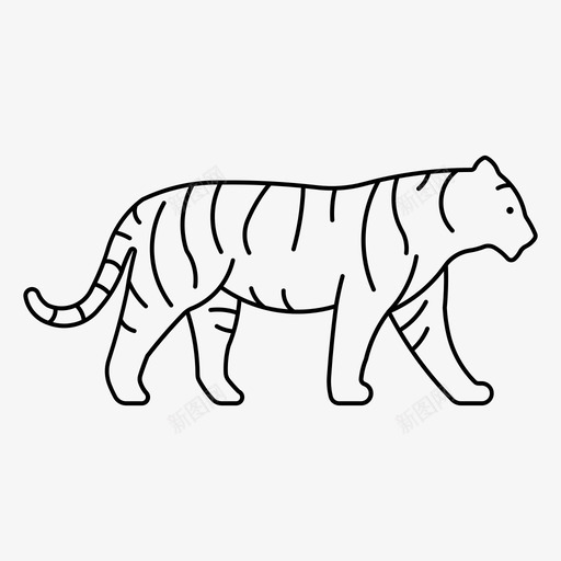 老虎动物孟加拉虎svg_新图网 https://ixintu.com 老虎 动物 孟加拉虎 大猫 西伯利亚