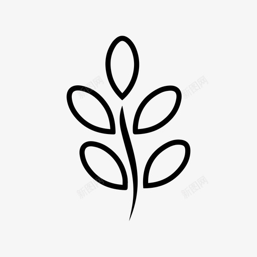 辣木枝叶svg_新图网 https://ixintu.com 辣木 枝叶 叶油茶 油茶