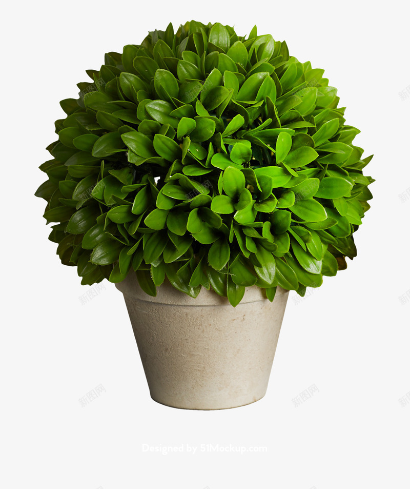 台灯花花瓶钟表杯子茶壶电器瓶子雕刻动物png免抠素材_新图网 https://ixintu.com 台灯 花花 花瓶 钟表 杯子 茶壶 电器 瓶子 雕刻 动物