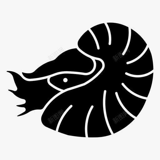 鹦鹉螺动物海svg_新图网 https://ixintu.com 鹦鹉 动物海 贝壳