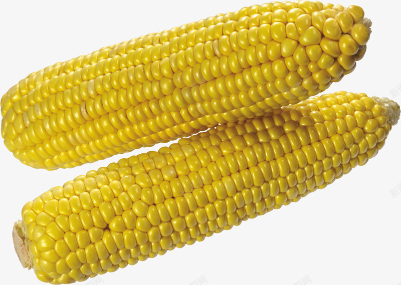 玉米玉米剥玉米蔬菜食物美食透明png免抠素材_新图网 https://ixintu.com 玉米 美食 蔬菜 透明 食物