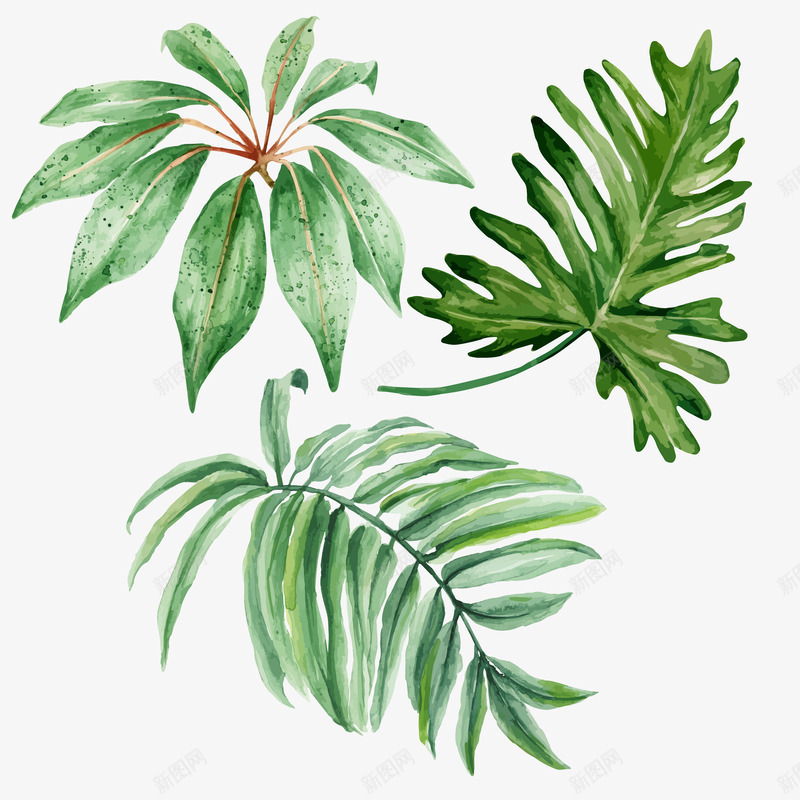 手绘水彩植物叶子花朵文艺小清新风格装饰画插画墙贴纸png免抠素材_新图网 https://ixintu.com 手绘 水彩 植物 叶子 花朵 文艺 清新 风格 装饰画 插画 贴纸