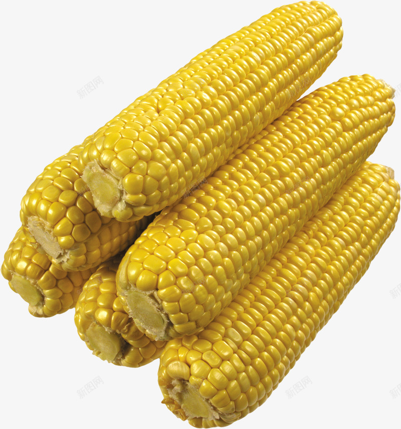 玉米玉米剥玉米蔬菜食物美食透明png免抠素材_新图网 https://ixintu.com 玉米 美食 蔬菜 透明 食物