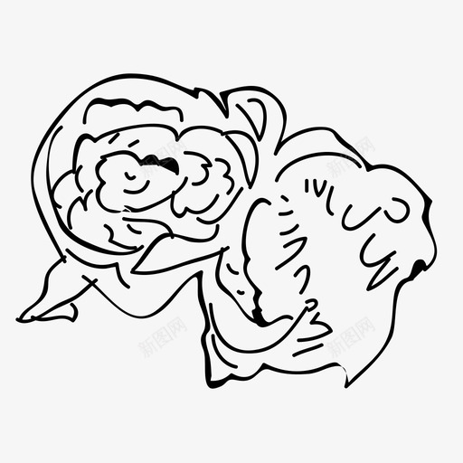 采购产品手绘花椰菜手绘花椰菜农场svg_新图网 https://ixintu.com 手绘 花椰菜 蔬菜 采购 产品 农场 食品 农产品