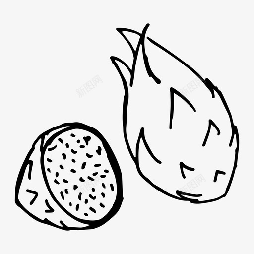 火龙果异国情调手工绘制svg_新图网 https://ixintu.com 火龙 异国 情调 手工 绘制 热带水果 水果