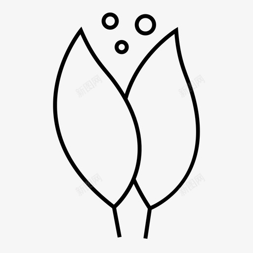 香料风味季节svg_新图网 https://ixintu.com 香料 风味 季节 烹饪