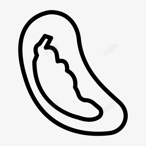 巴西坚果豆类坚果svg_新图网 https://ixintu.com 坚果 巴西 豆类 蛋白质 超级 食品