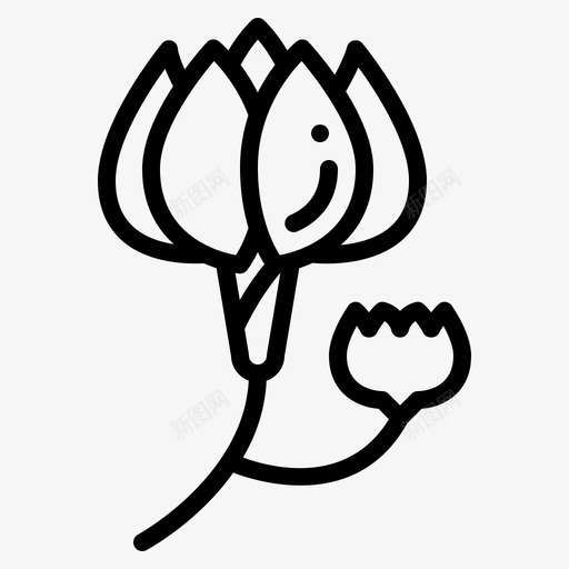 木兰花自然svg_新图网 https://ixintu.com 木兰花 花花 自然