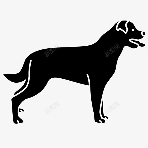 罗特韦尔犬动物大svg_新图网 https://ixintu.com 罗特韦 尔犬 动物 大狗 警卫