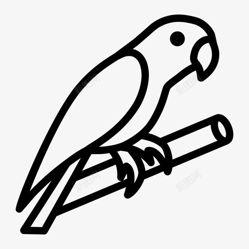 鹦鹉动物鸟svg_新图网 https://ixintu.com 宠物 鹦鹉 动物 兽医