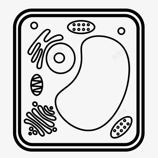 植物细胞生物学叶绿体svg_新图网 https://ixintu.com 植物 细胞 细胞生物学 叶绿体 科学 生物技术