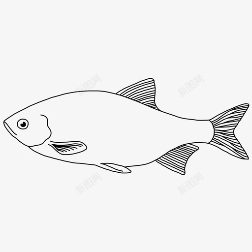陆克文动物鱼svg_新图网 https://ixintu.com 陆克 文动物 动物 海洋生物