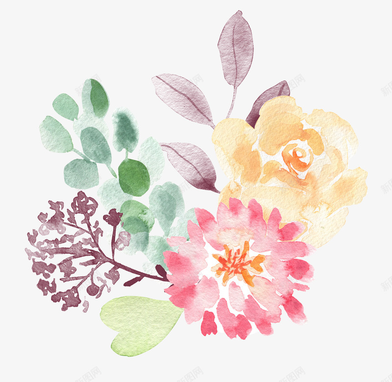 手绘水彩花朵花卉png免抠素材_新图网 https://ixintu.com 手绘 水彩 花朵 花卉