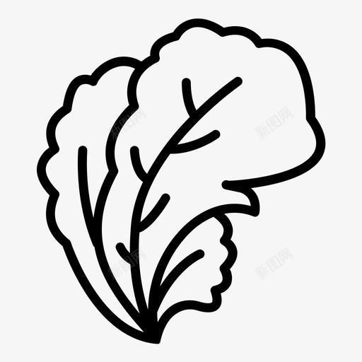 芥菜泡菜叶子svg_新图网 https://ixintu.com 芥菜 泡菜 叶子 植物 蔬菜