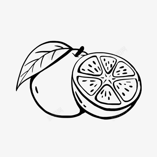 橙色拉制新鲜svg_新图网 https://ixintu.com 拉制 橙色 新鲜 水果 热带水果 蔬菜 手工