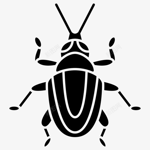 甲虫鞘翅目昆虫学svg_新图网 https://ixintu.com 昆虫 甲虫 鞘翅 昆虫学 象甲 雕文