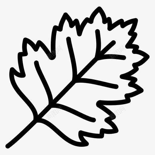 山楂叶自然植物svg_新图网 https://ixintu.com 山楂 叶山楂 叶自然 自然 植物 树叶