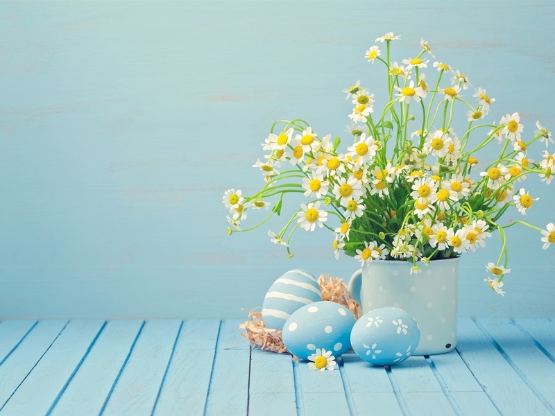 雏菊花瓶彩蛋jpg设计背景_新图网 https://ixintu.com daisy 彩蛋 木板 花瓶 雏菊