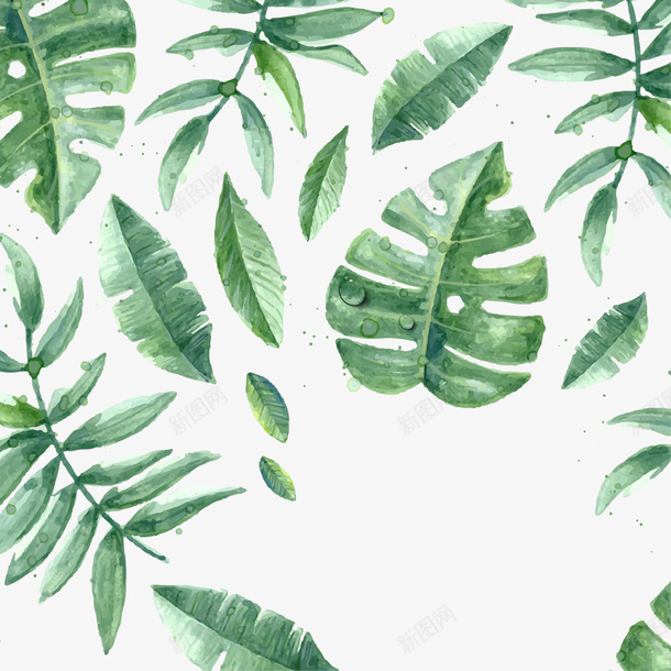 手绘水彩植物叶子小清新png免抠素材_新图网 https://ixintu.com 手绘 水彩 植物 叶子 小清新