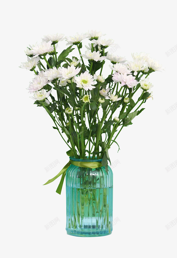 高清瓶装花草绿叶植物png免抠素材_新图网 https://ixintu.com 花草 花 草 绿色 植物 瓶子 白色的花