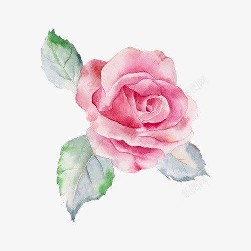 手绘插画花花朵png免抠素材_新图网 https://ixintu.com 鲜花植物 手绘花 花朵 卡通花