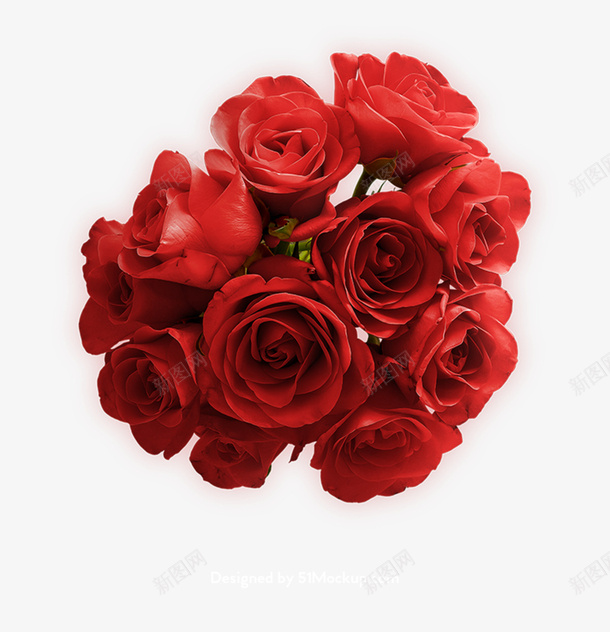 节日氛围情人节玫瑰花png免抠素材_新图网 https://ixintu.com 情人节 粉色 红色 玫瑰花 月季花 节日