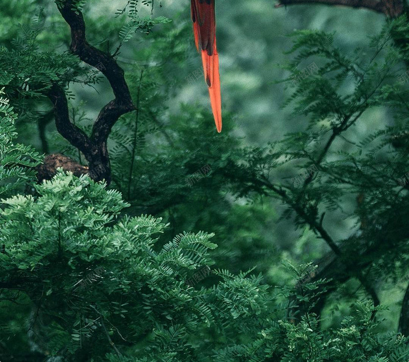 手机壁纸素材可用背景jpg设计背景_新图网 https://ixintu.com 手机 壁纸 素材 可用 背景