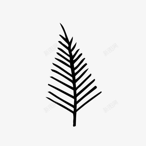 蕨类分枝叶svg_新图网 https://ixintu.com 蕨类分 枝叶 叶自然 自然 植物 植物学